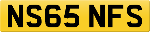 NS65NFS